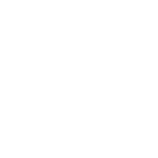 Digital Marketing Consultant